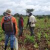 Plony dla sierot: zbiórka na zakup motopompy do nawadniania pól w DR Kongo - dożywianie głodnych dzieci pomoc Afryce jałmużna Adopcja Serca Adopcja Duchowa 02